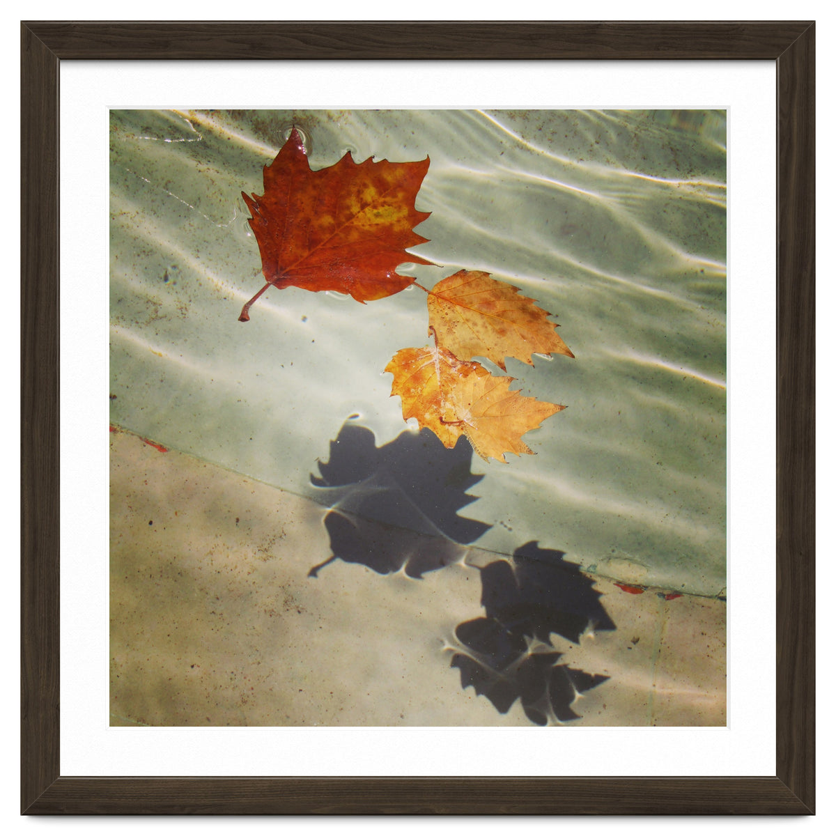 Floating leaves