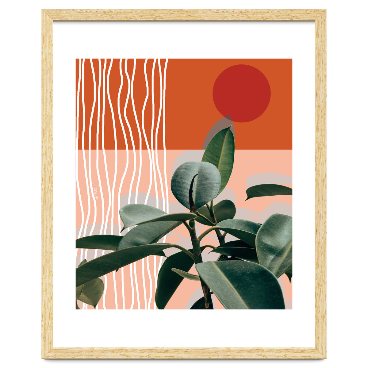 Times of a Growing Plant