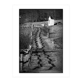 Forestry path (Print Only) thumbnail