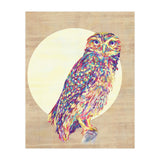 Owl (Print Only) thumbnail