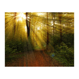 Nature (Print Only) thumbnail