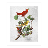 uccelli (Print Only) thumbnail