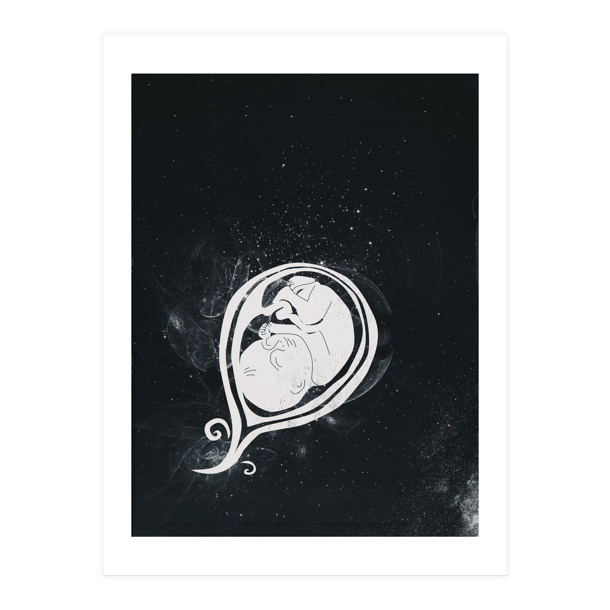 Baby Cosmos (Print Only)