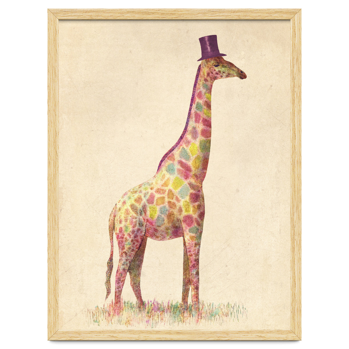Fashionable Giraffe