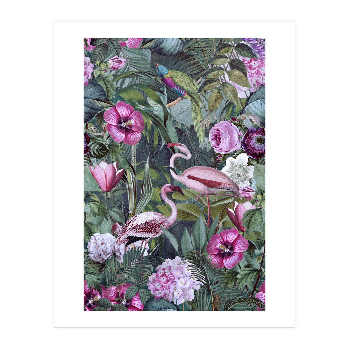 Flamingos 3 (Print Only)
