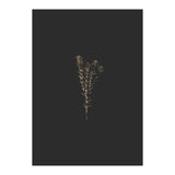 Moody Golden Botanicals (Print Only) thumbnail