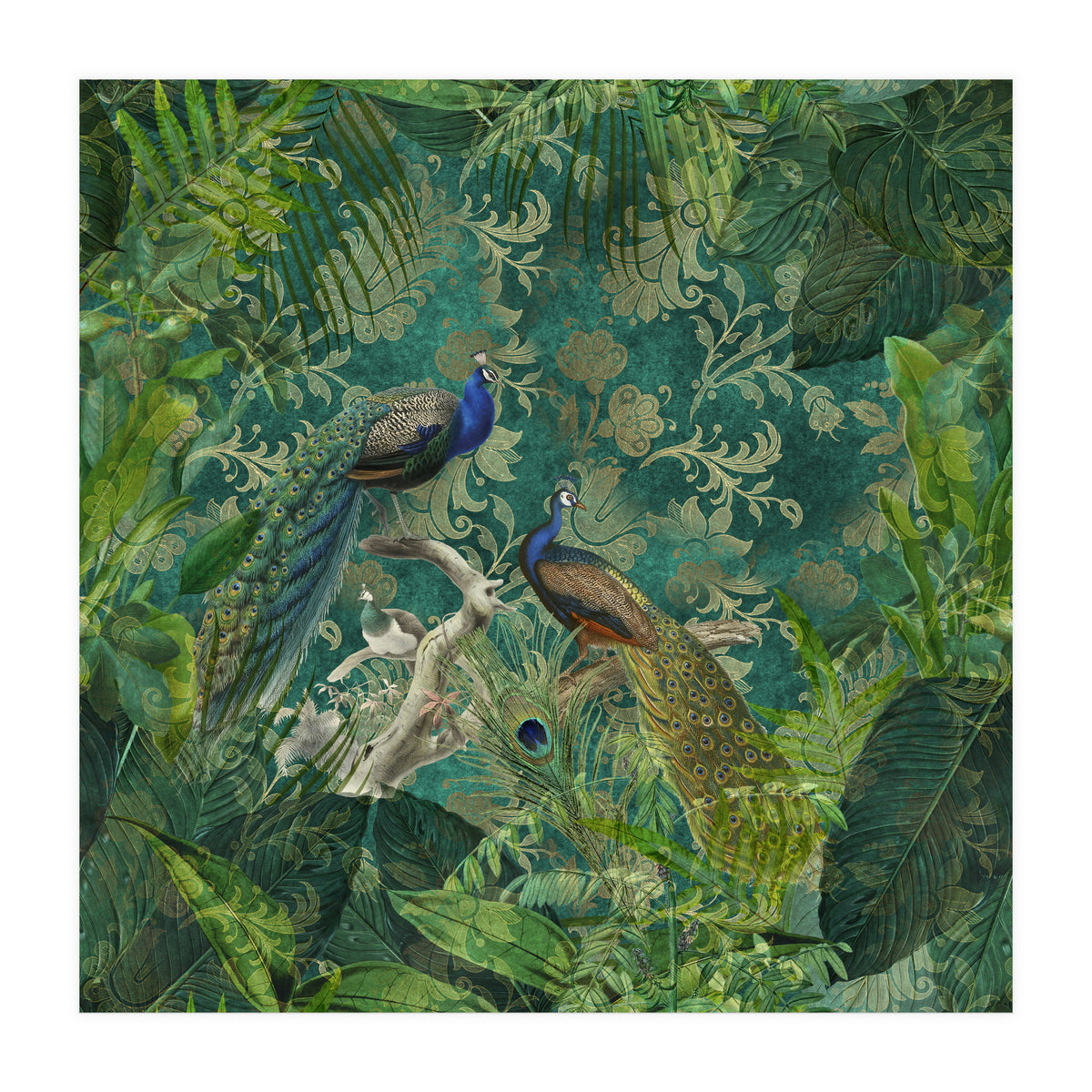 Mystic Peacocks (Print Only)