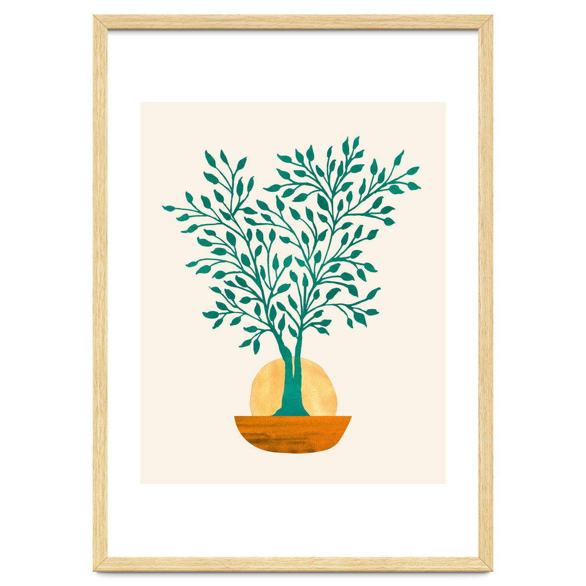 Emerald Ficus Sunset