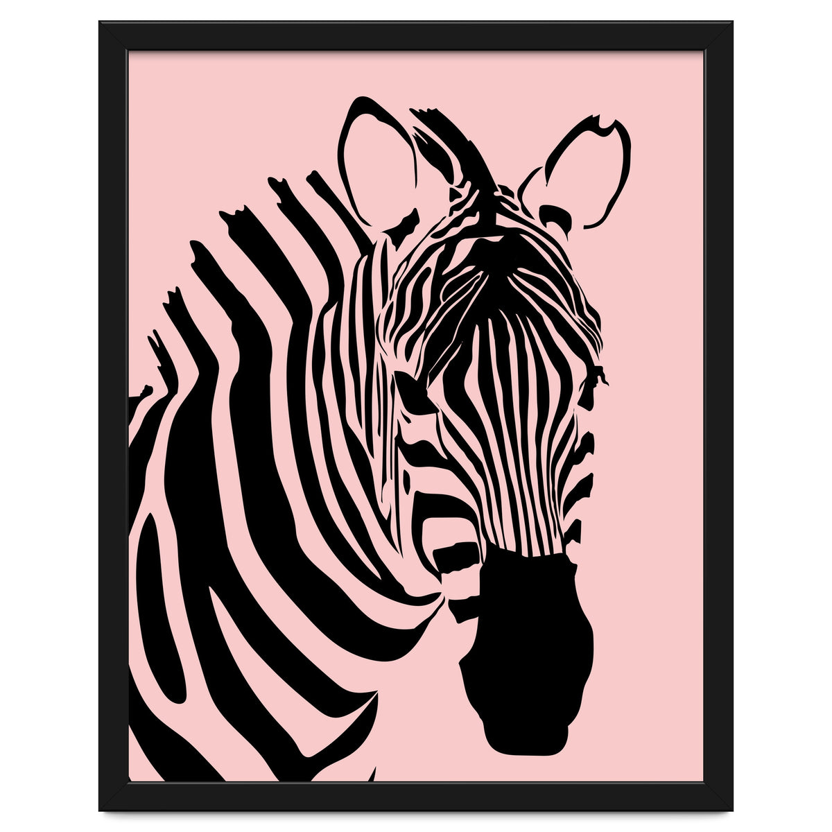 Zebra Stripes