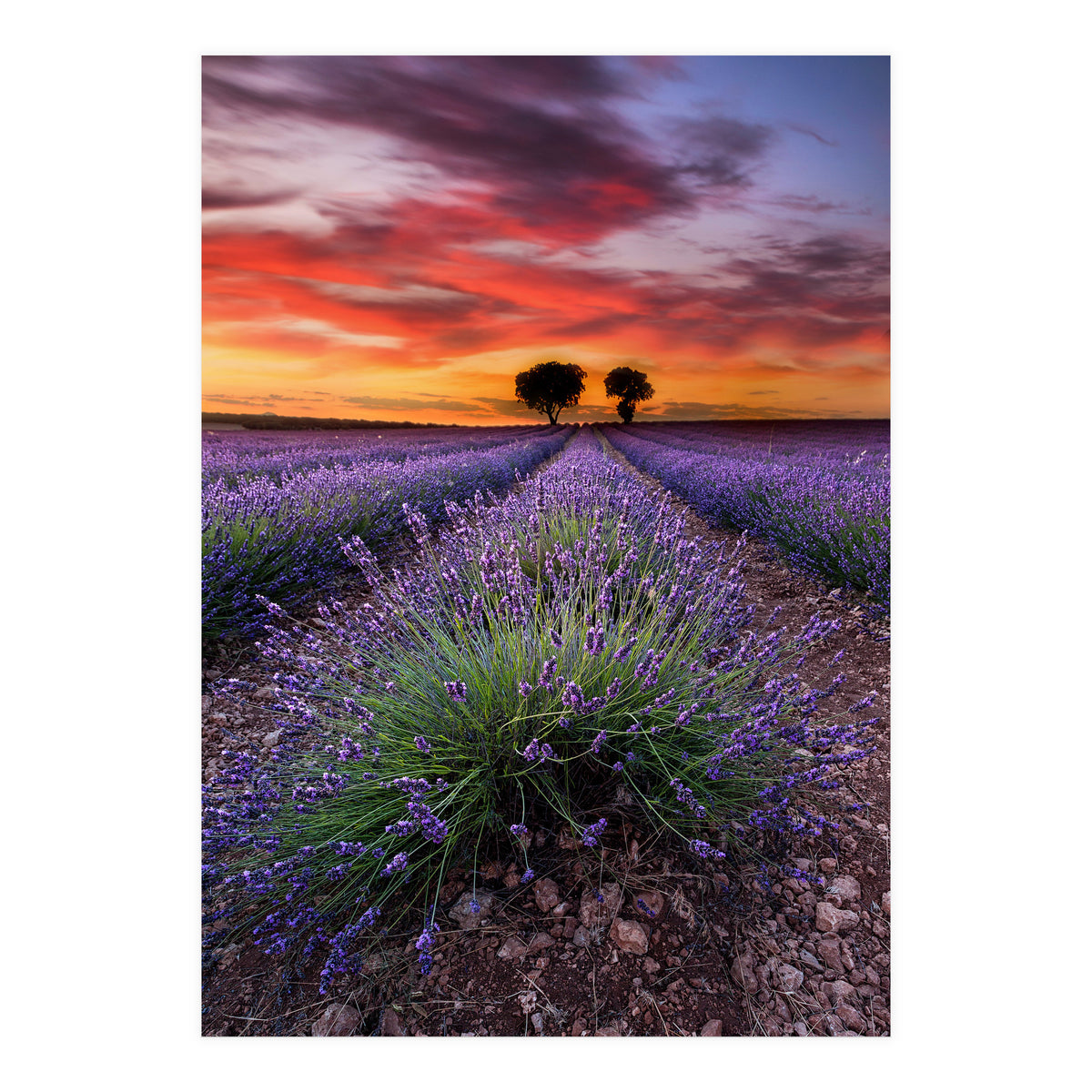 A Place To Dream (Print Only)