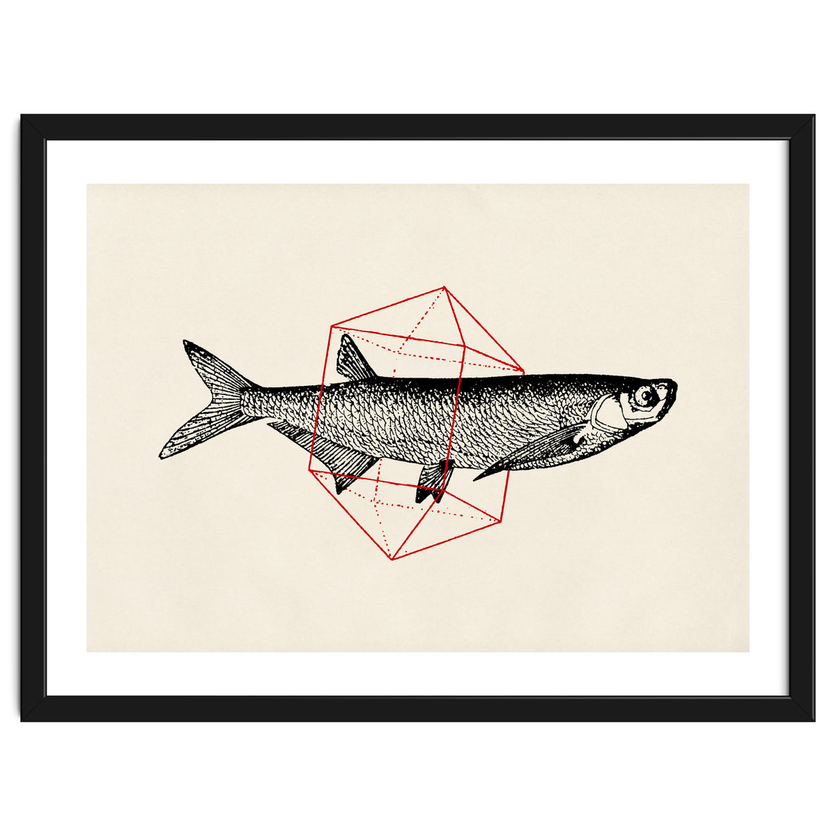 Fish In Geometrics II