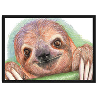 Smiling Sloth