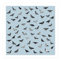 Pigeons Doing Pigeon Things (Print Only)