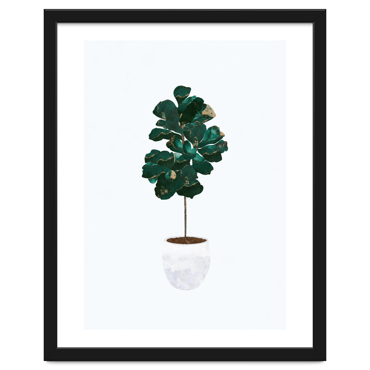 FIddle Leaf Fig gold and green