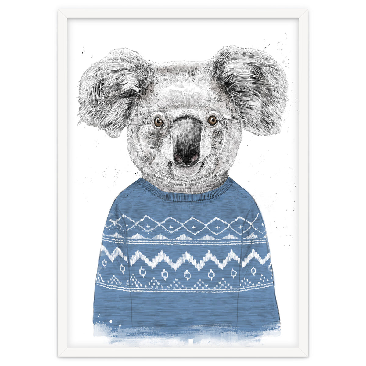Winter Koala