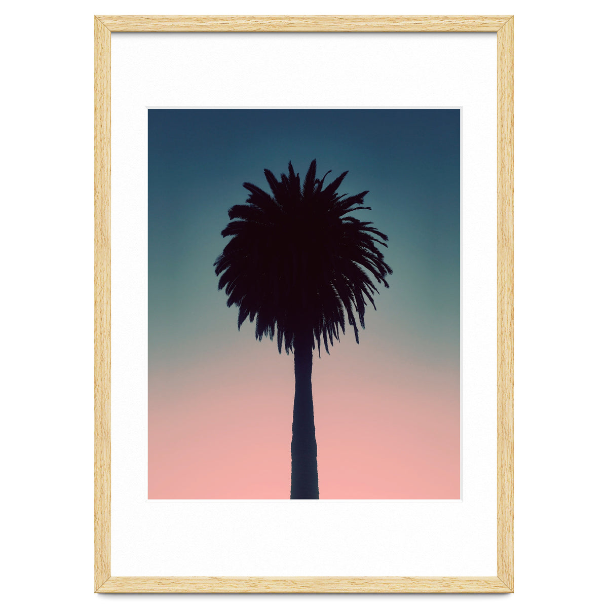 Sundown Palm