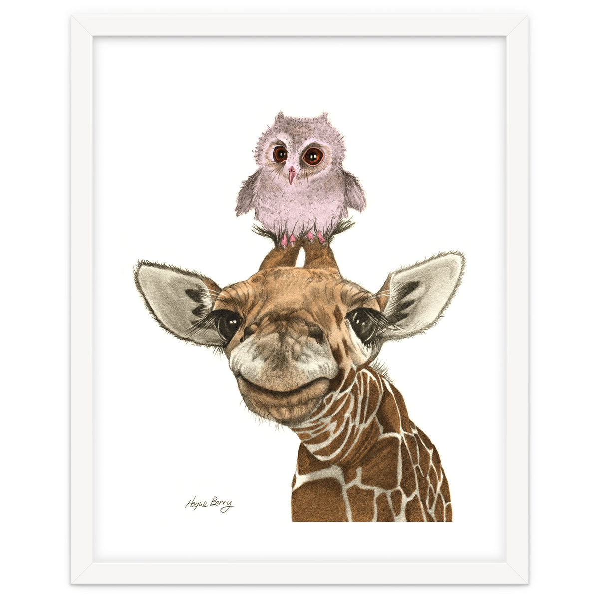 Giraffe and Owl