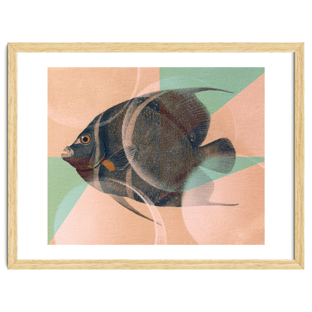 Fish Between Circles 2