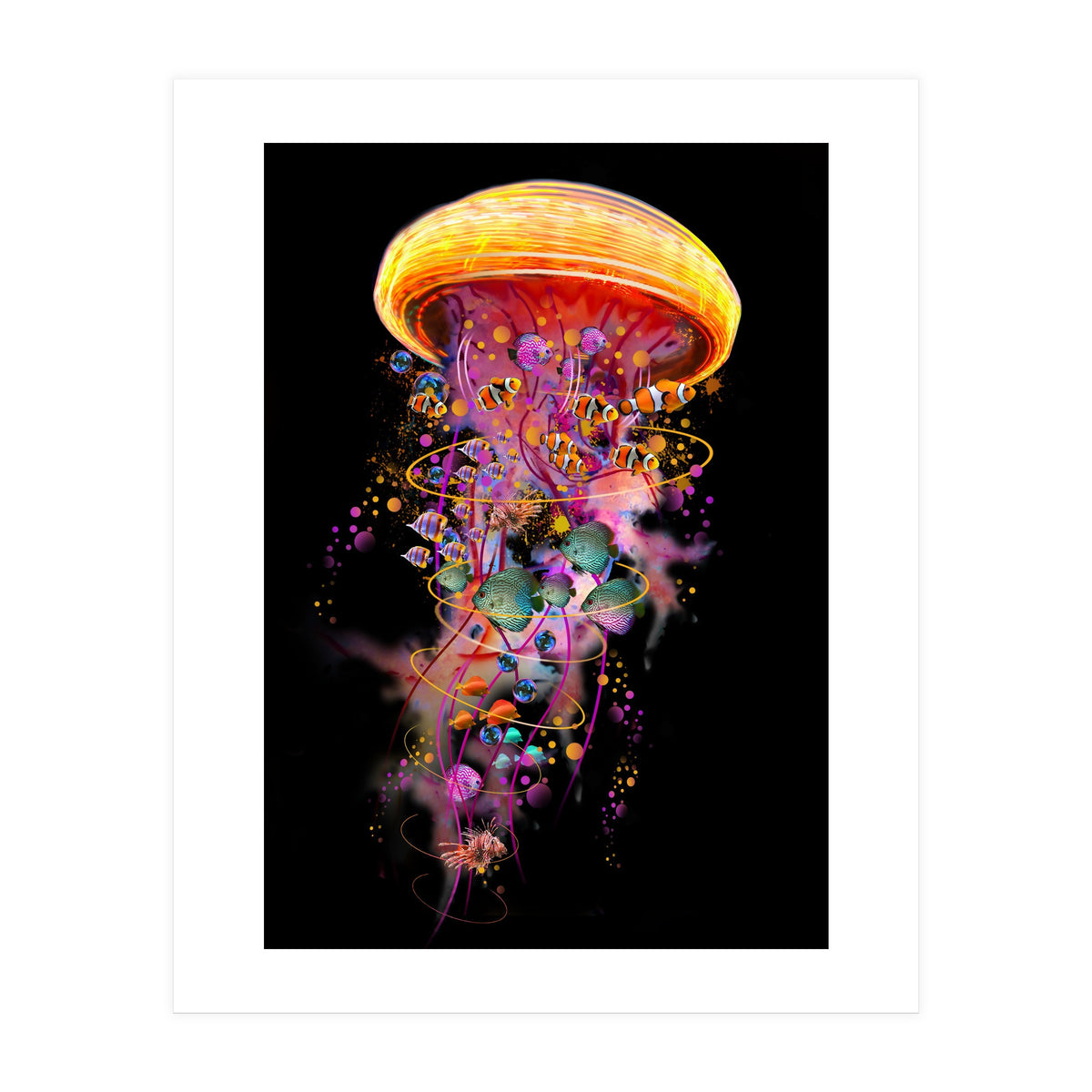 Jelly Fish Ride Summer2018 Dbh (Print Only)