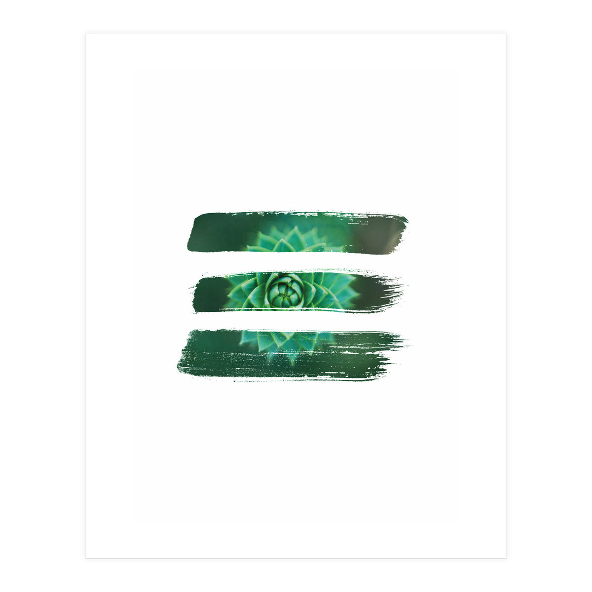 Modern Succulent I (Print Only)