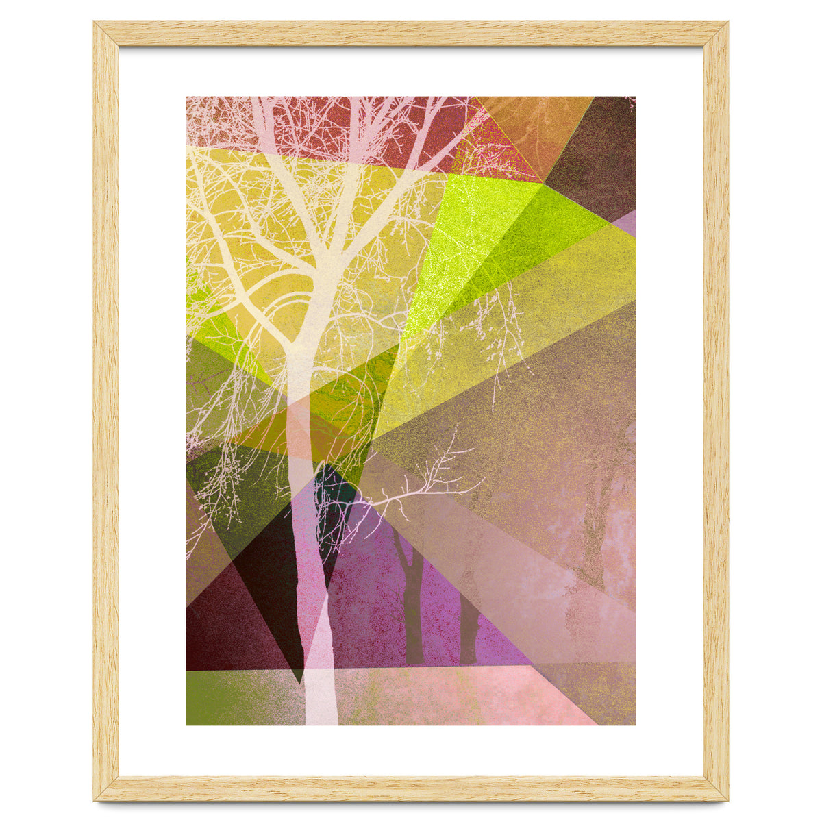 P22 Trees And Triangles