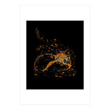 Cameo Fox (Print Only) thumbnail