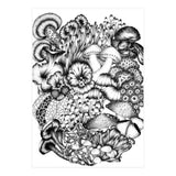 Medley Of Mushrooms (Print Only) thumbnail