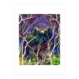 Dead Of Night (Print Only) thumbnail