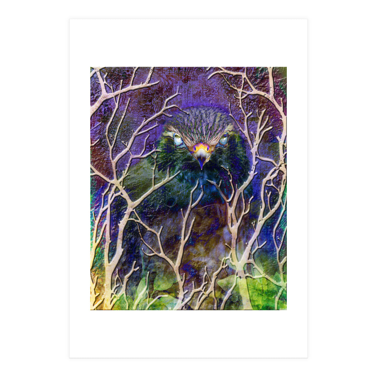 Dead Of Night (Print Only)