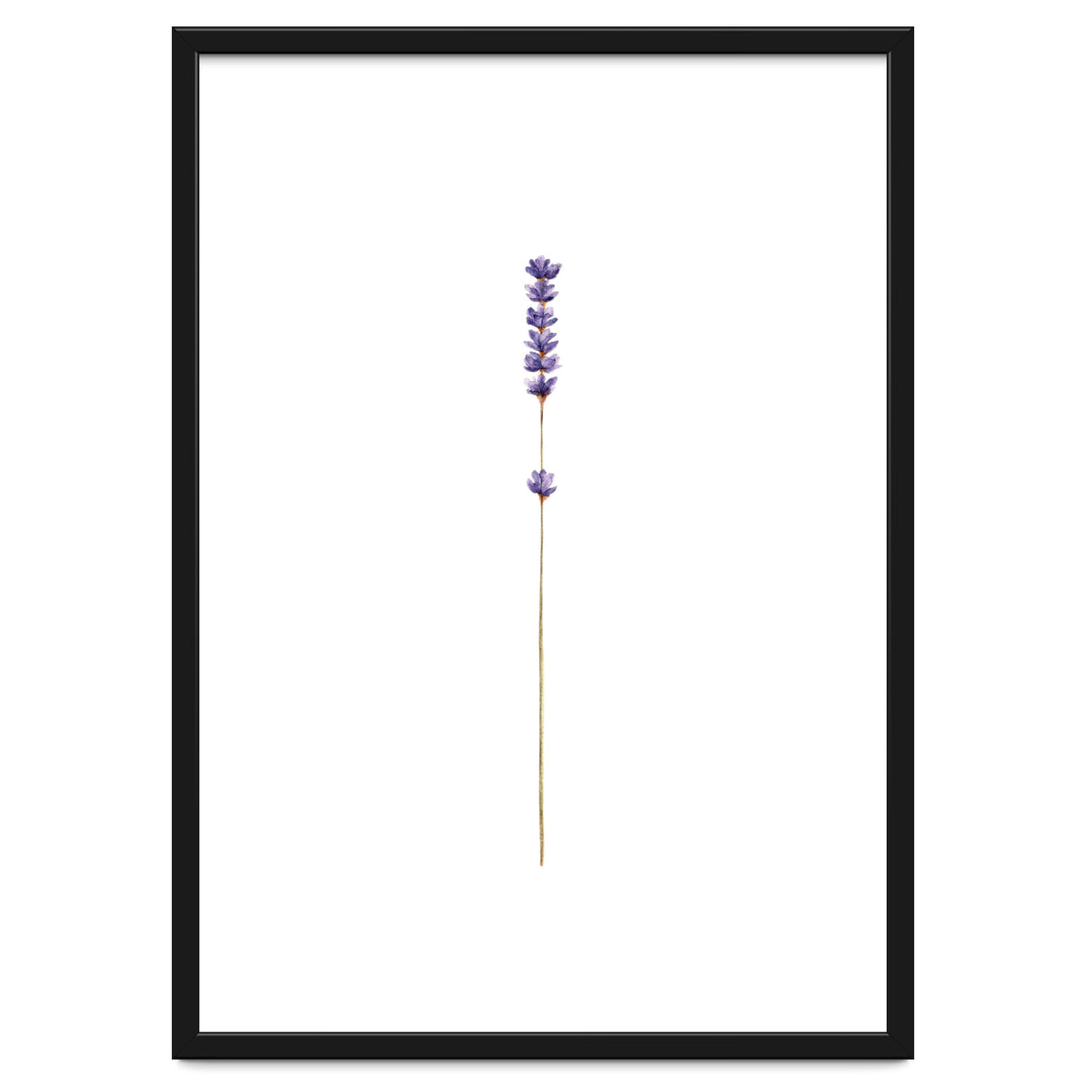 Lavender twig