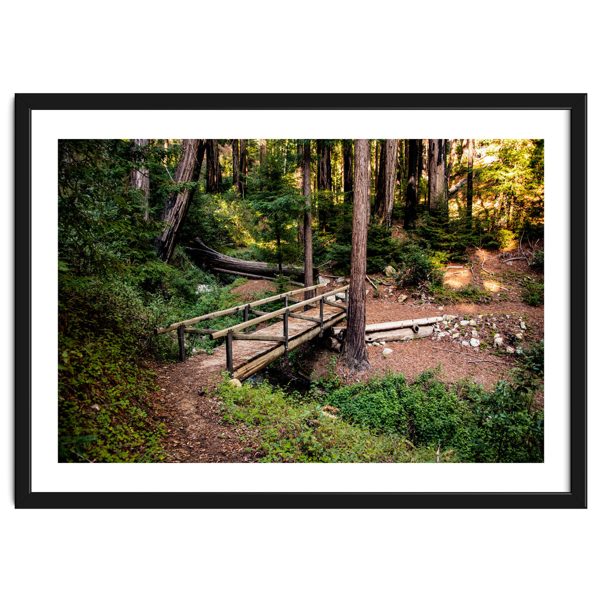 Ewoldsen Loop Bridge