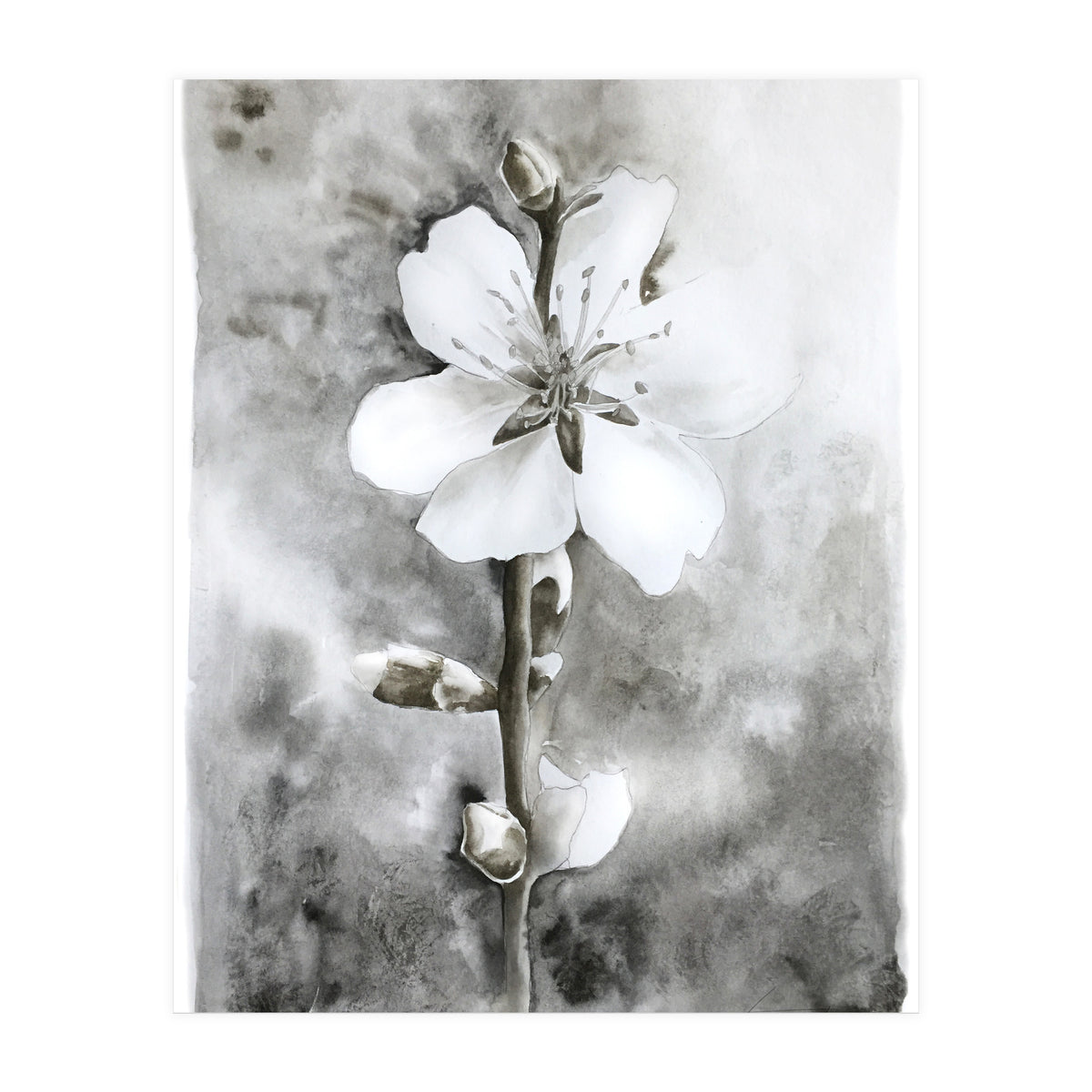 White flower (Print Only)