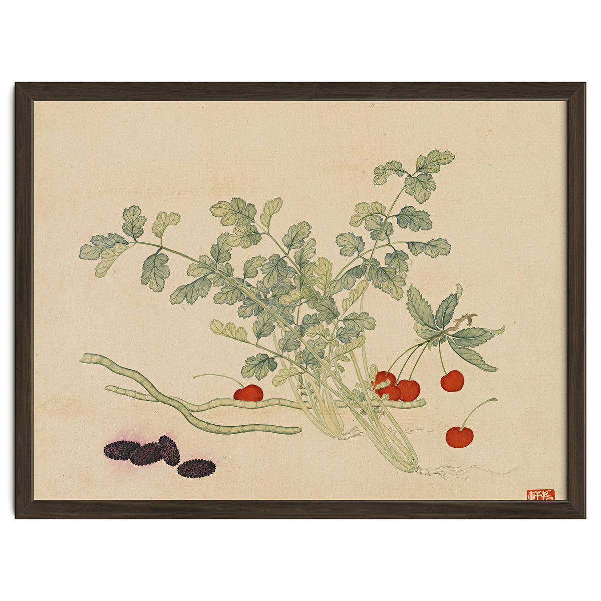 Wang Chengyu~flowers And Vegetables, Vegetables, Fruits, Beans, Red Beans, Cherries, Celery