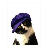 Cat Blue Hat (Print Only) thumbnail