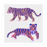 Tigers Squre (Print Only)