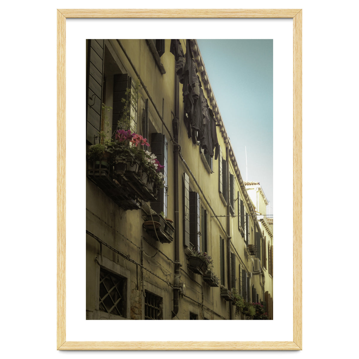 Windows From Tuscany 1