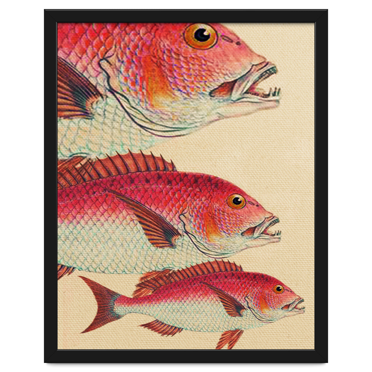 Fish Classic Designs 7