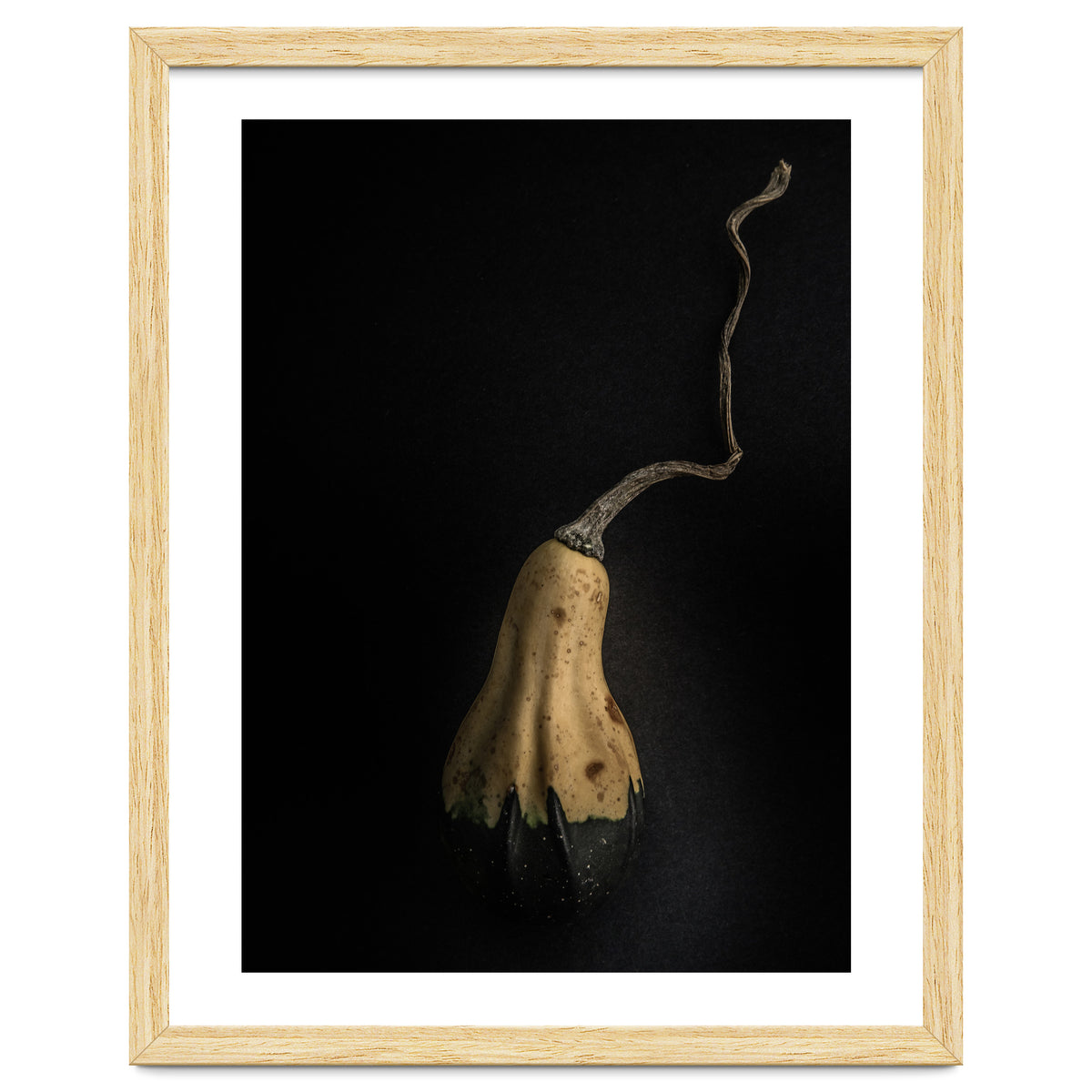 Gourds No 12 Color Version