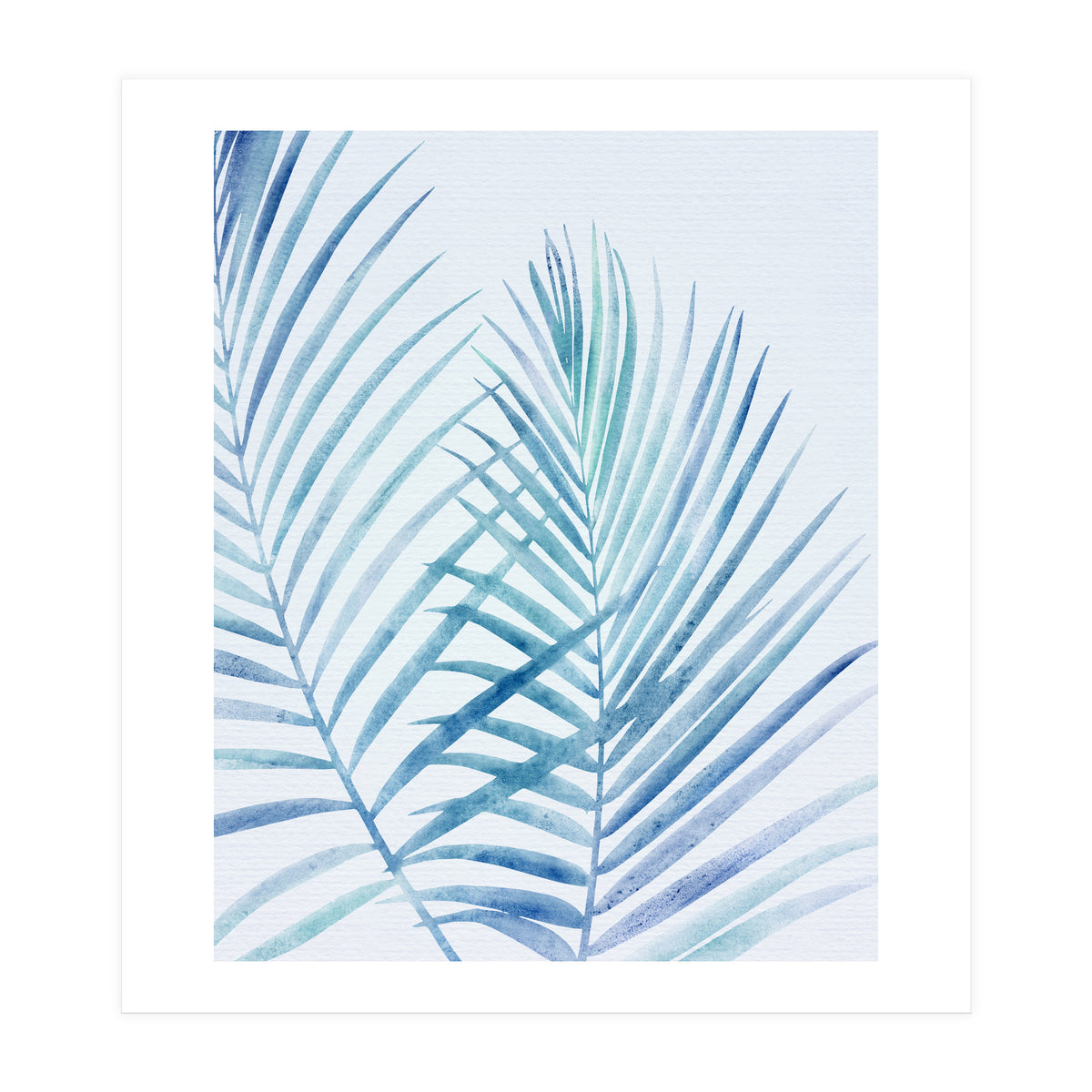 Coastal Palm Fronds (Print Only)