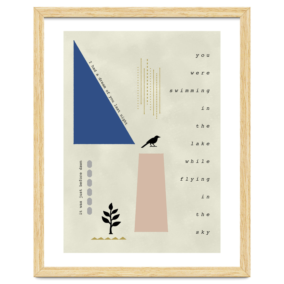 swimming while flying dream