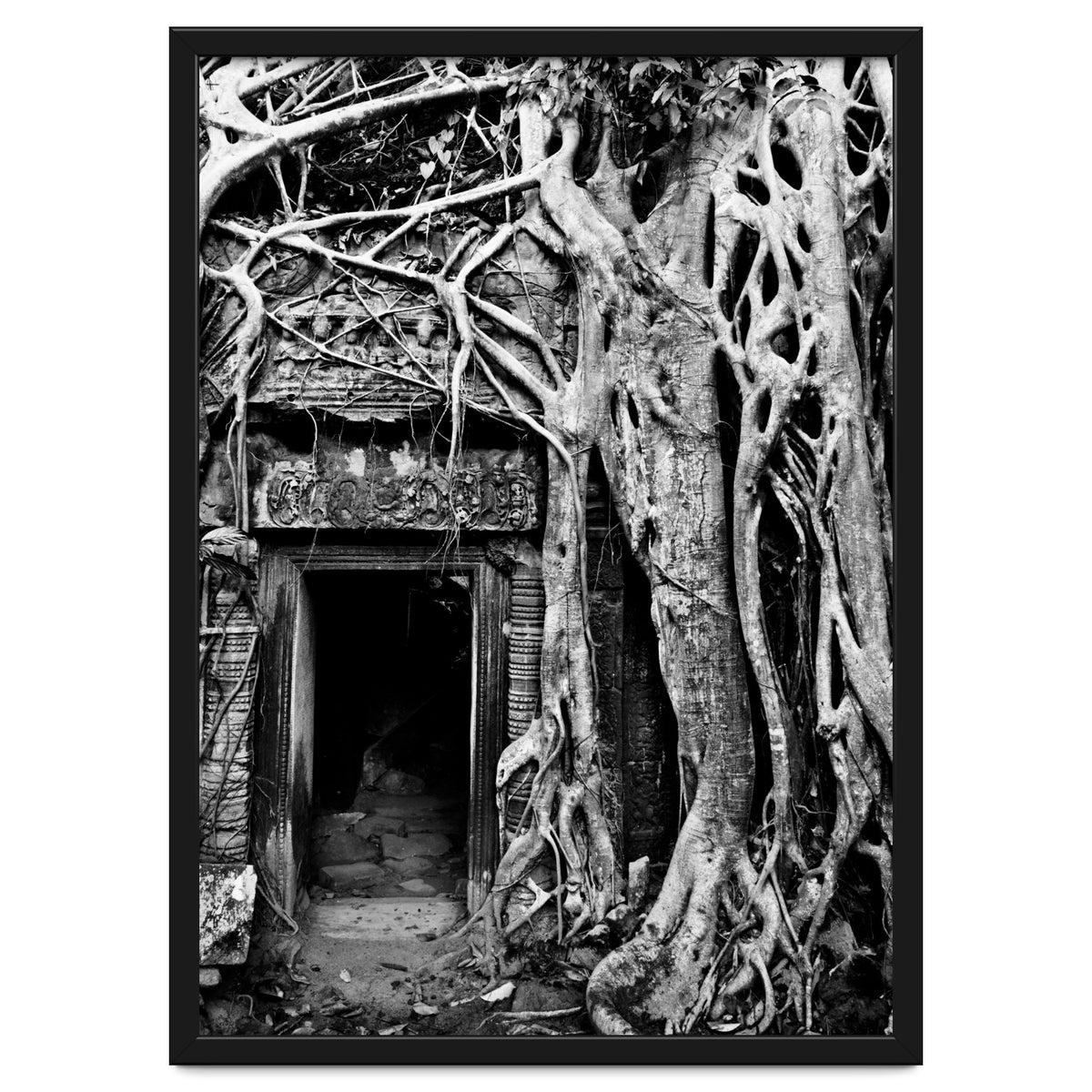 Ta Prohm Temple, Cambodia