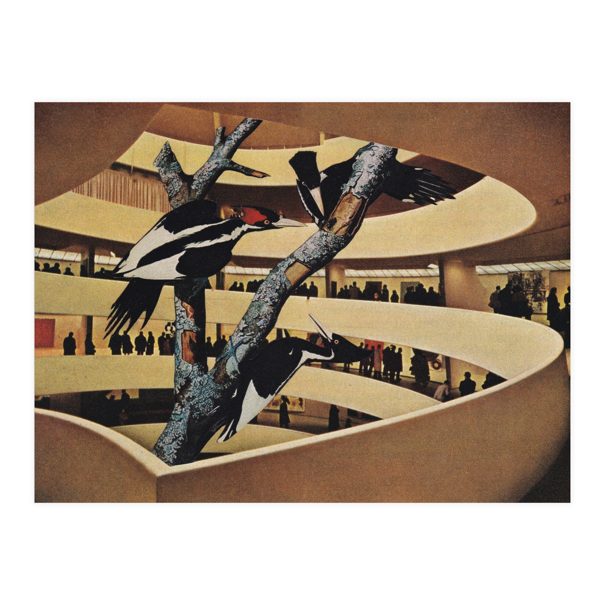 Art Museum (Print Only)