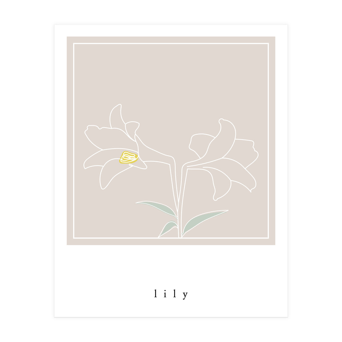 lily flower (Print Only)