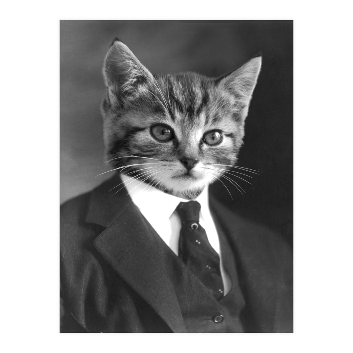 Gentleman Cat (Print Only)