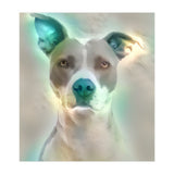 Doggie (Print Only) thumbnail