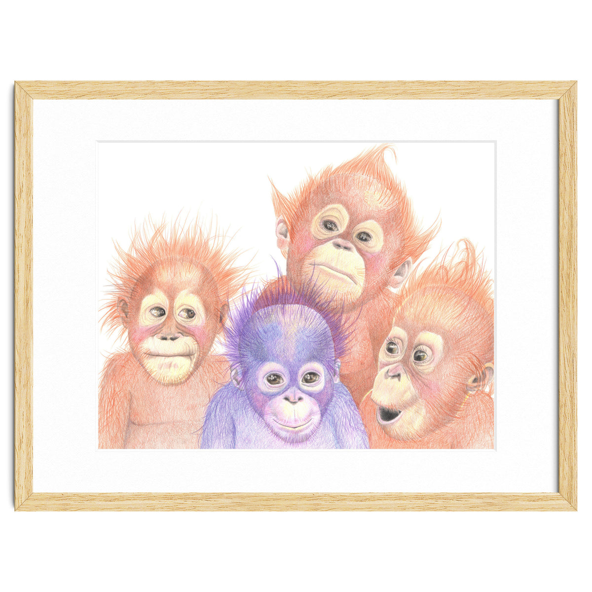 Orangutan Babies