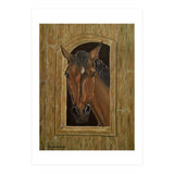 Inquisitive (Print Only) thumbnail