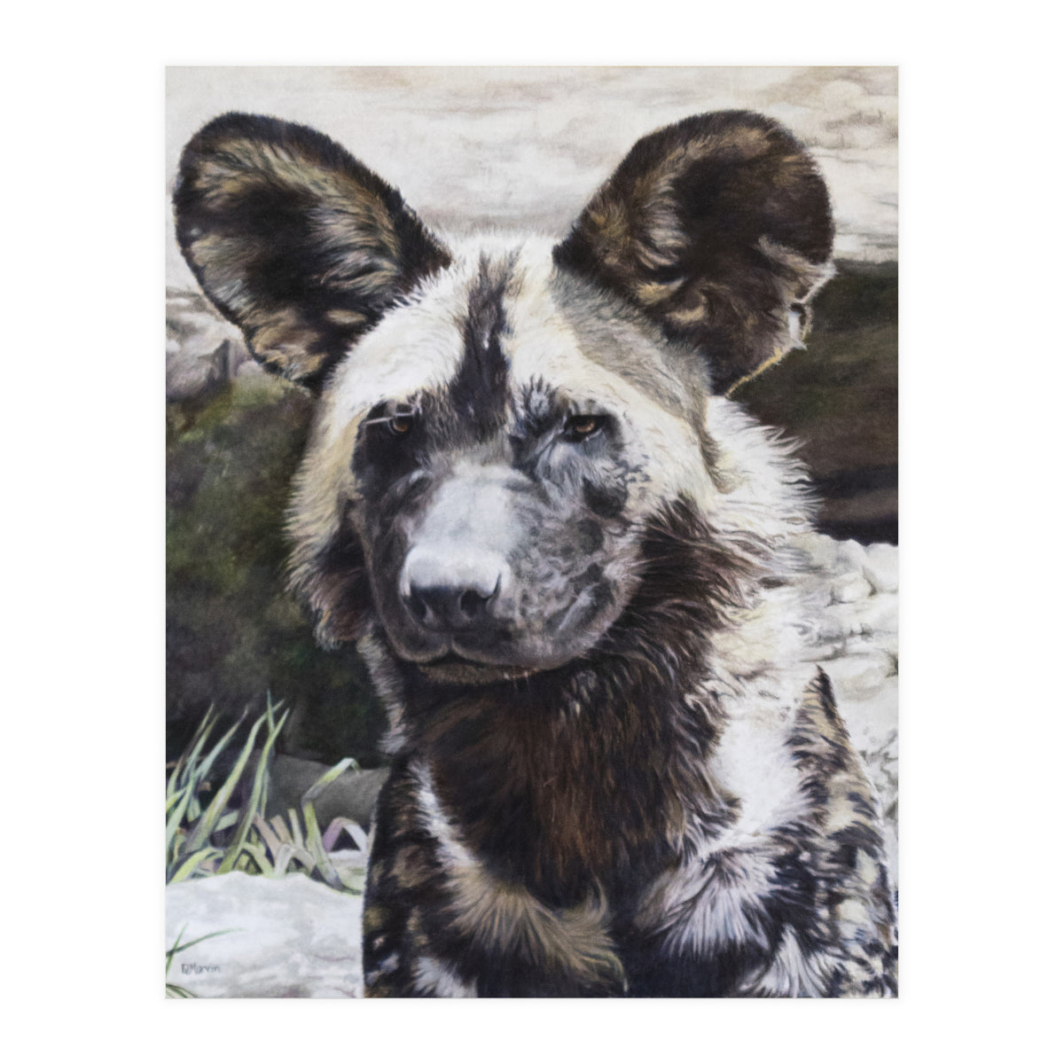 African Painted Dog II (Print Only)