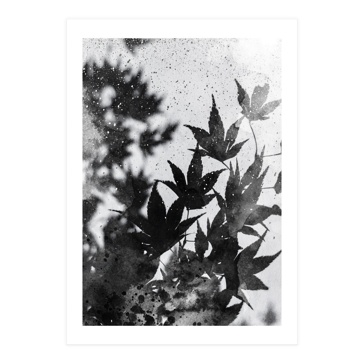 Leaves #2 (Print Only)