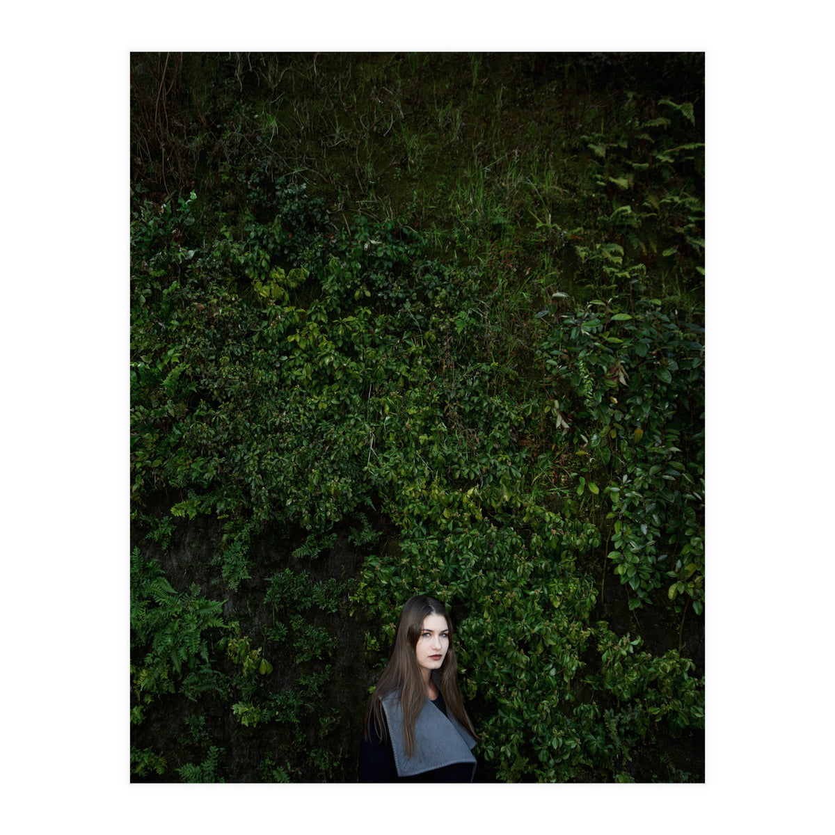 Nature in Madrid (Print Only)